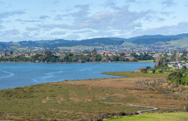 istock Winding boardwalk through wetland 1499040275