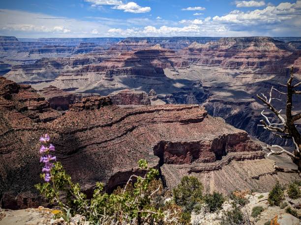 istock Beautiful Grand canyon 1499041103