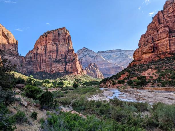 istock Beautiful Zion national Park 1499041126