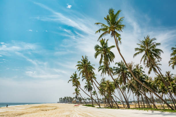 istock Salalah Oman Al Haffa Beach 1499041294