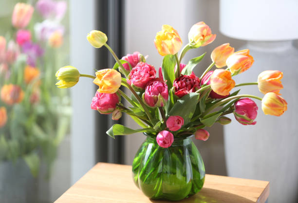 거실에 꽃이 든 꽃병 - double tulip 뉴스 사진 이미지