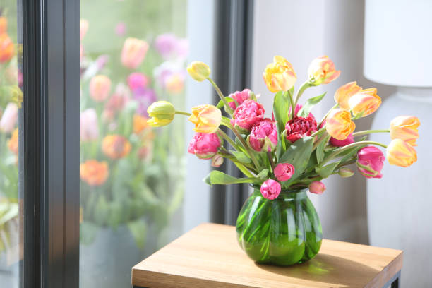 거실에 꽃이 든 꽃병 - double tulip 뉴스 사진 이미지