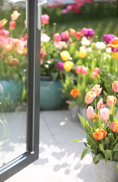 tulipanes en el patio - screen door door porch house fotografías e imágenes de stock