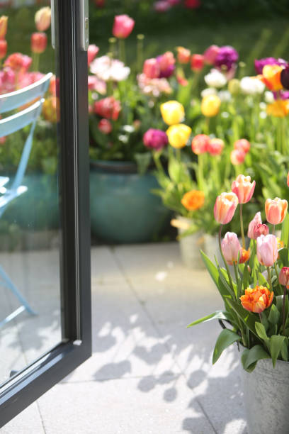 tulipani sul patio - screen door door porch house foto e immagini stock