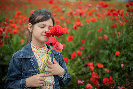 It's a spring time and young pretty little girl is spending her free time in wonderful poppy flower field. Playing and enjoying in nature.