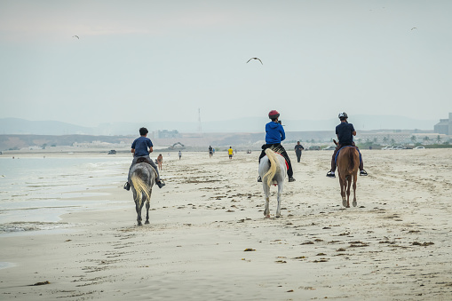 People ride horses on the beach in Salalah, Dhofar, Oman in the evening.
