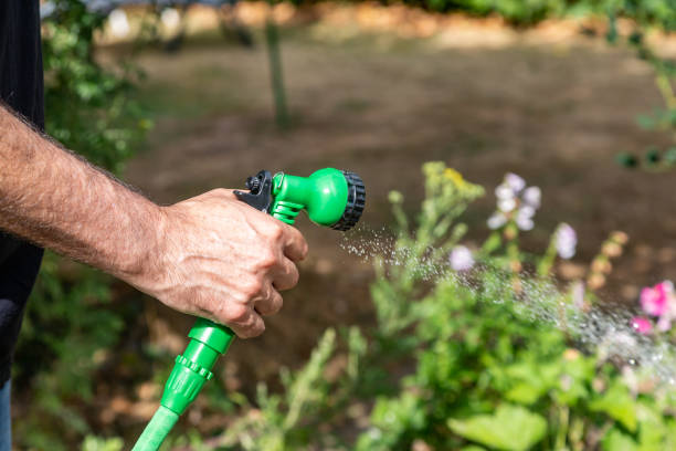 istock A man watering a garden on a hot summer's day 1499048242