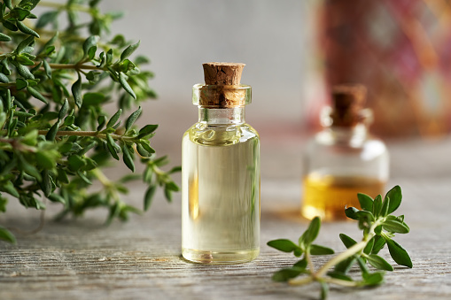 A transparent bottle of essential oil with fresh thyme plant
