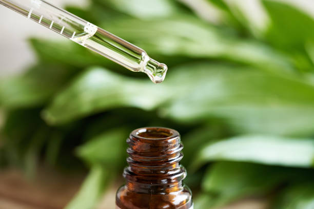 istock Dropping essential oil from a dropper into a glass bottle 1499048385