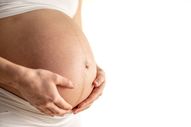 femme enceinte tenant doucement son ventre rond nu avec ses mains dans le dernier mois de grossesse. troisième trimestre - semaine 36. gros plan. vue latérale. fond blanc. prise de vue lumineuse. - table chair white curve photos et images de collection