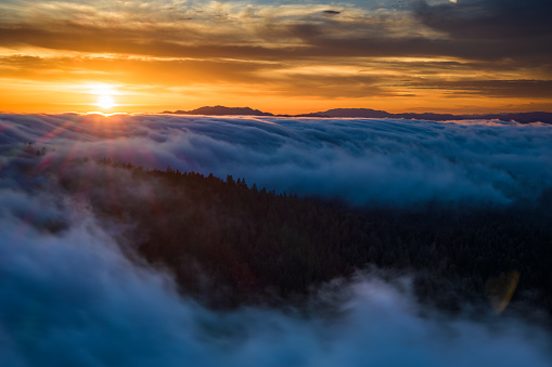 A scenic aerial shot of the clouds above a forest during a sunset in Occidental, California.