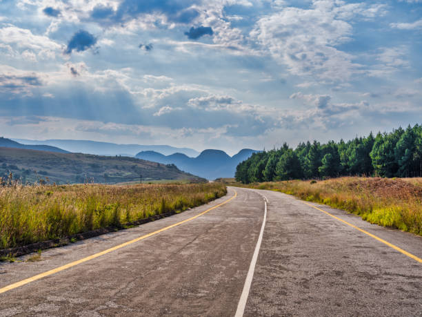 istock Winding road through pine tree forest and dramatic sky sun rays on panorama route, Mpumalanga, South Africa 1499064185