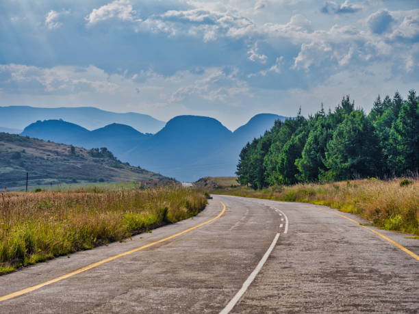 istock Winding road through pine tree forest and mountain during a summer afternoon on Panorama Route, Mpumalanga, South Africa 1499065329