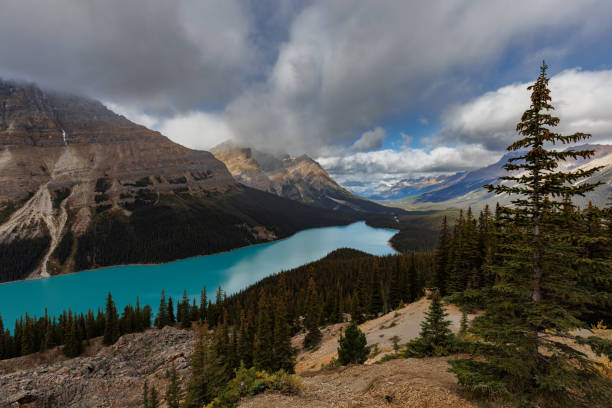 istock Peyto Lake in Canada 1499066459
