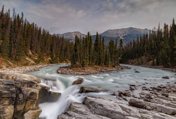 istock Sunwapta Falls in Jasper Canada 1499066663
