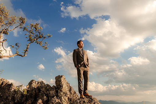 Businessmen stand on high peaks and look to the foreground landscape, conceptual leader.