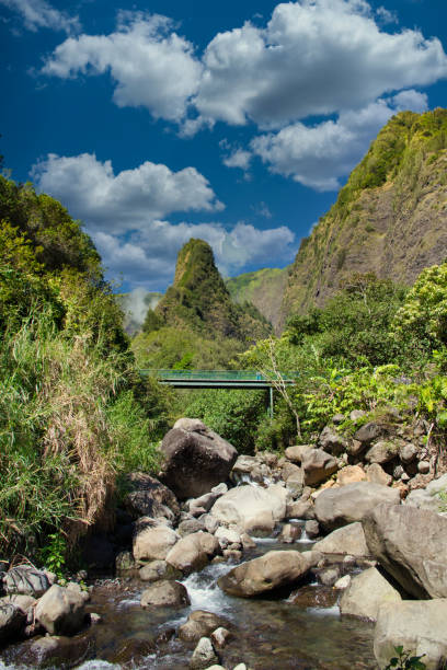 iao valley on maui. - maui iao valley state park hawaii islands mountain imagens e fotografias de stock