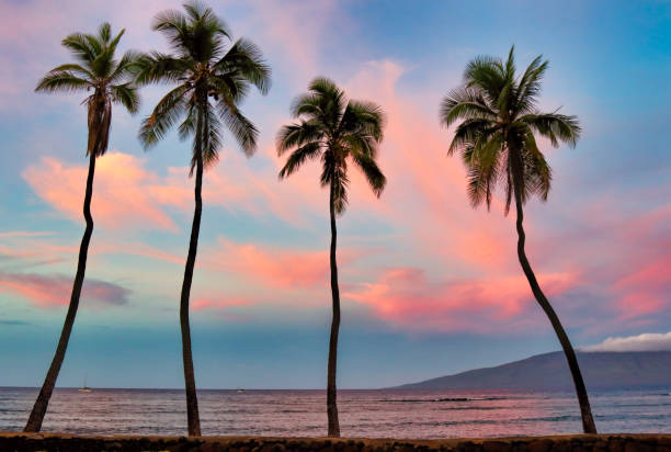 istock View to Lanai from Front Street in Lahaina. 1499078552