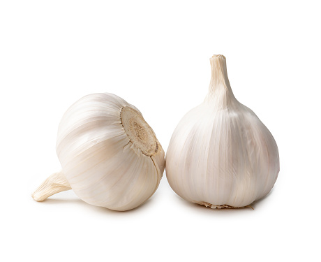 Two fresh white garlic bulbs are isolated on white background with clipping path, Thai herb is great for healing several severe diseases, heart attack, Hyperlipidemia or Dyslipidemia, close up photo