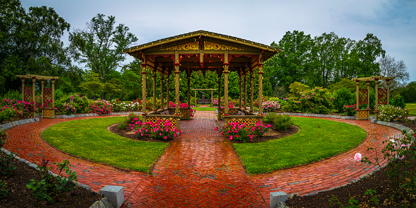 Beautiful rose garden after rain at Roger Williams Park in Providence, Rhode Island
