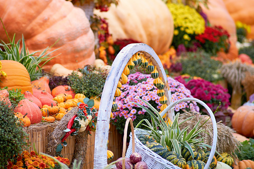 Harvest festival with autumn pumpkins and vegetables. Sale of agricultural crops on the outdoor market after the holiday