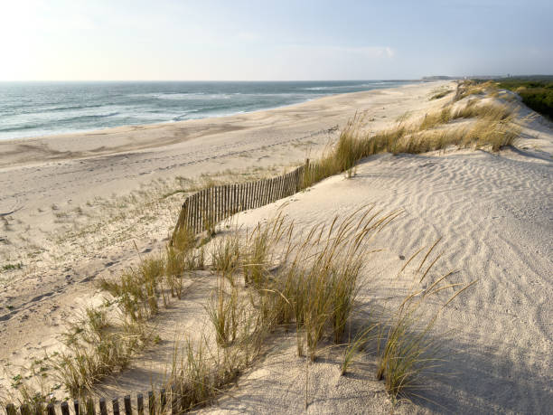 istock Sandy dunes on Furadouro beach 1499086341