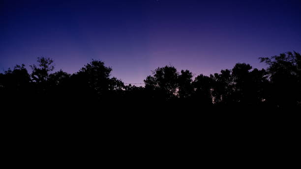 el sol se está poniendo detrás de una línea de árboles, rayos cerpusculares - cerpuscular rays fotografías e imágenes de stock