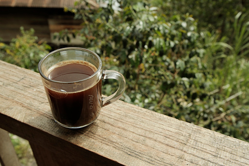 An ordinary glass commonly used by villagers to drink a cup of Arabica coffee in Toraja. There are coffee plants behind the glass.