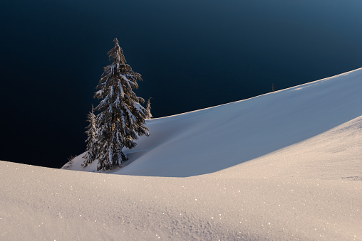Winter, At The Edge Of, Beauty In Nature, Blue, Cascade Range