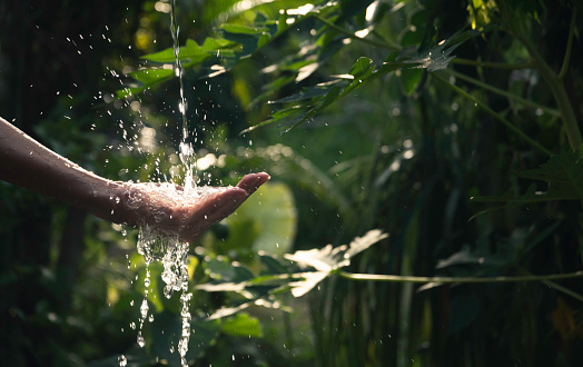 closeup water flow to hand of women for nature concept on the garden background.