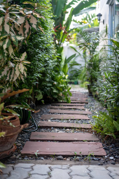 istock Stone path in the backyard garden with trees along the sides 1499122026