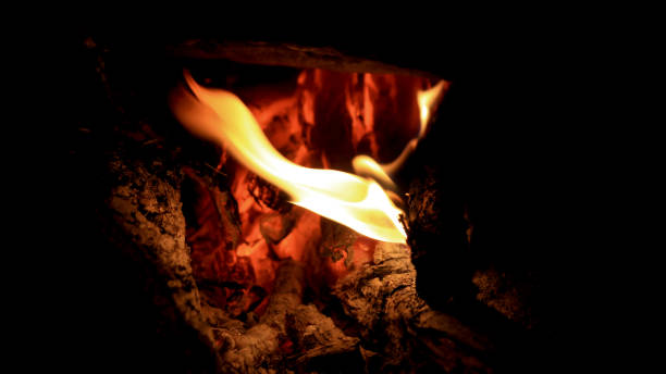 istock Flames atop glowing embers. Fiery Campfire at Night 1499122989