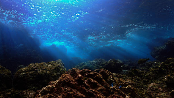 istock Underwater landscape in rays of sunlight 1499124721