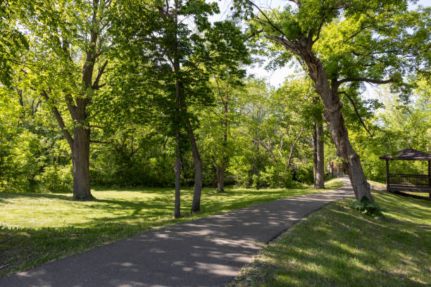 istock Woodland public park with walking path and gazebo 1499126006