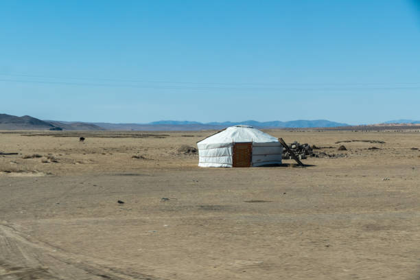 istock Ger on the nature land in Mongolia 1499131076