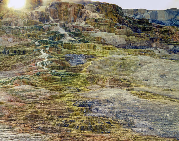 istock Jupiter Terrace, Yellowstone National Park 1499133908