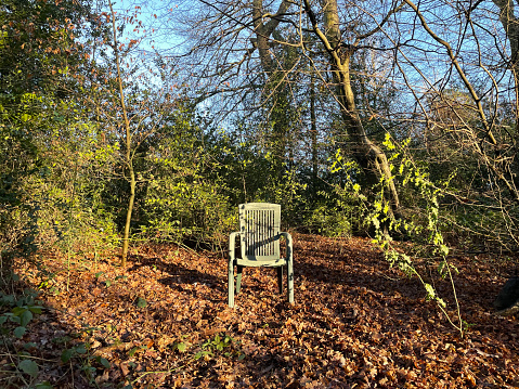 Abandoned garden chair in Epping Forest