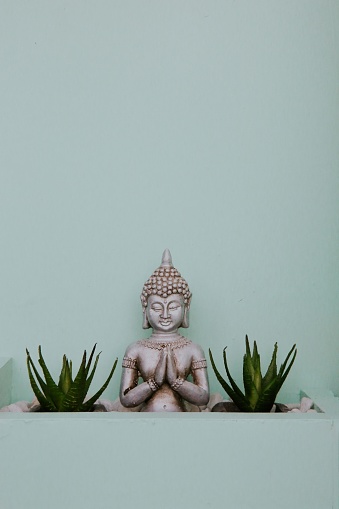 A small Buddha statue on the background of a mint colored wall accompanied by two green plants