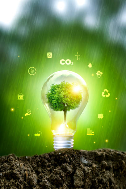 Natural environment and carbon neutral concepts in hand for net zero emissions targets. Weather-neutral long-term strategy Target Cloud in Green Net Zero