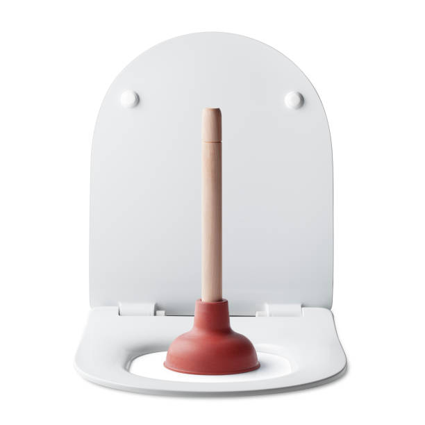 Plunger on the toilet bowl stock photo