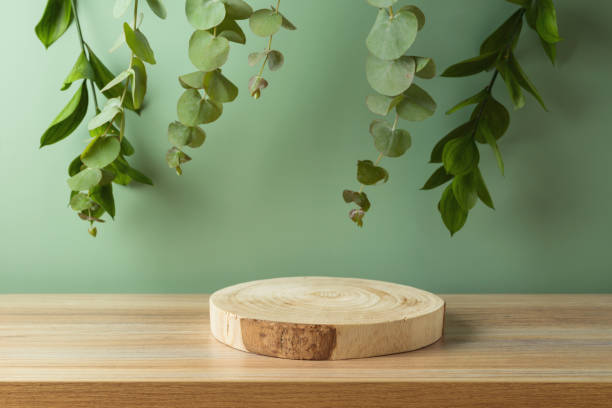 istock Empty wooden podium log on table with eucalyptus leaves over green background. Cosmetic and spa mock up for design and product display 1499145990