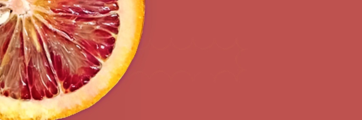 bright juicy orange closeup isolated on white background