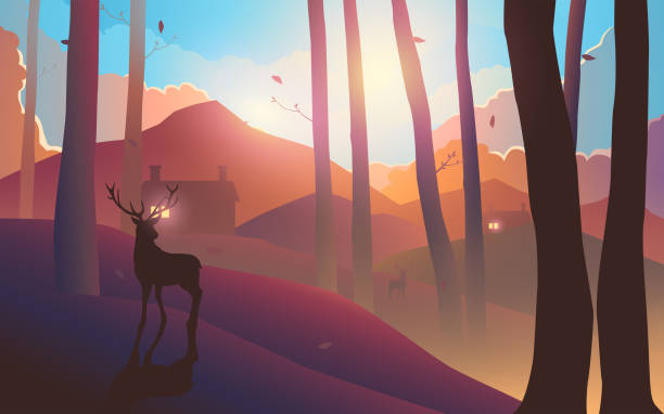 istock Beautiful landscape of woods on hills during sunset or sunrise 1499149438