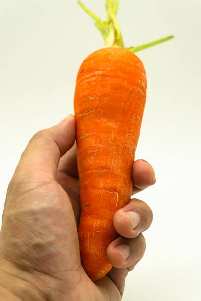 istock Give carrot a chance 1499151588