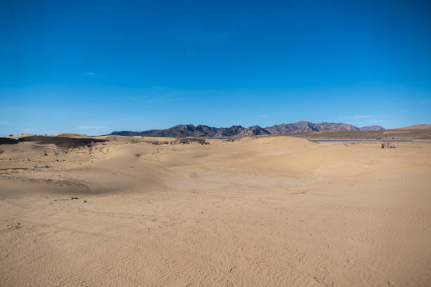 istock Elsen Tasarkhai or mini-Gobi, Central Mongolia 1499155841