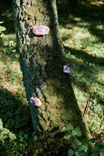 istock Art object of human eyes on tree trunk in green forest background, trees sight feeling ecological concept 1499157225