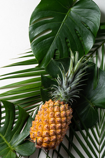 Top view of fresh pineapple with tropical monstera leaves on white background.