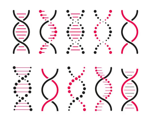 Vector illustration of Set of DNA icons. Life gene model bio code genetics molecule medical symbols. Structure molecule, chromosome icon. Vector set of elements DNA