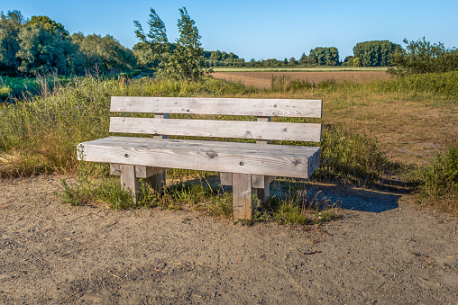 White bench standing under old tree in the parkland on the blooming meadow. Springtime in natural park.