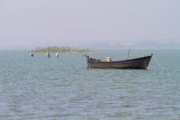 Old fishing boat stock photo